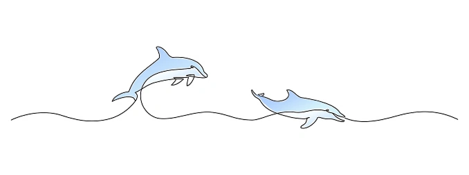 2 dolphins leaping from the water